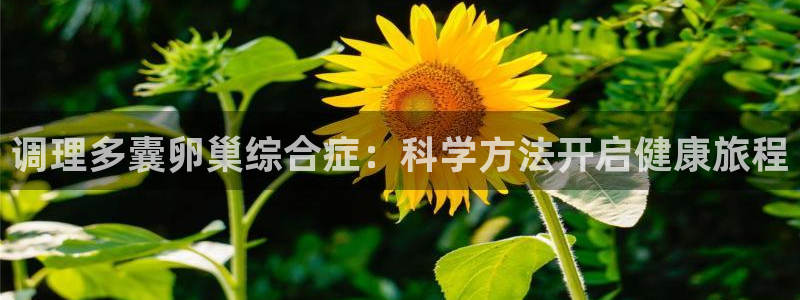 调理多囊卵巢综合症：科学方法开启健康旅程