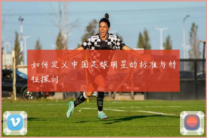 如何定义中国足球明星的标准与特征探讨