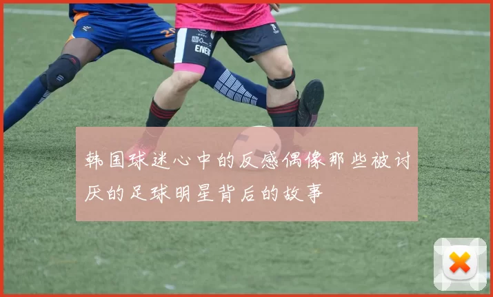 韩国球迷心中的反感偶像那些被讨厌的足球明星背后的故事